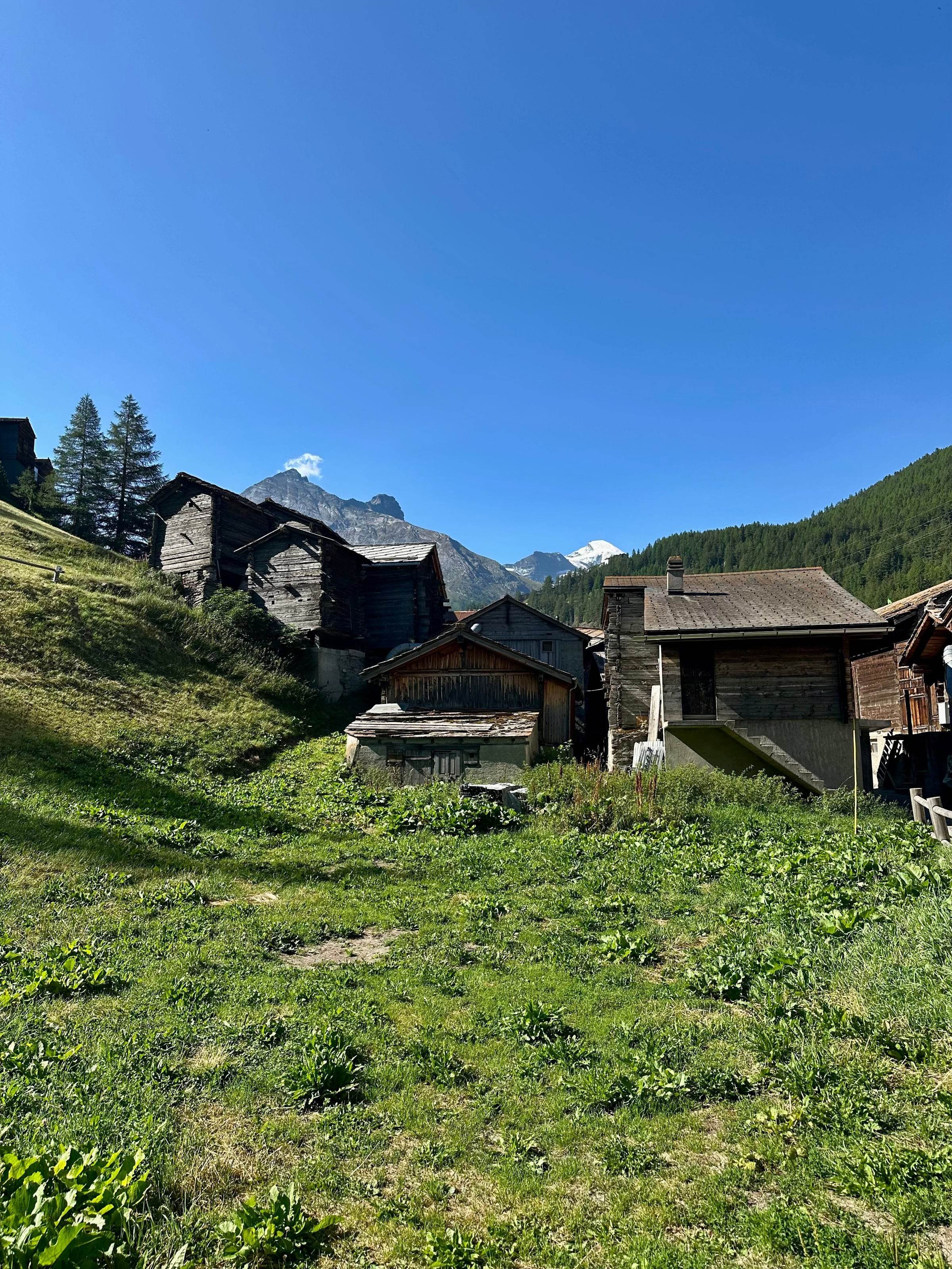 Hameau de montagne en été, granges et maisons en bois bruni sur socles de pierre, prairie et sommets sous un ciel bleu